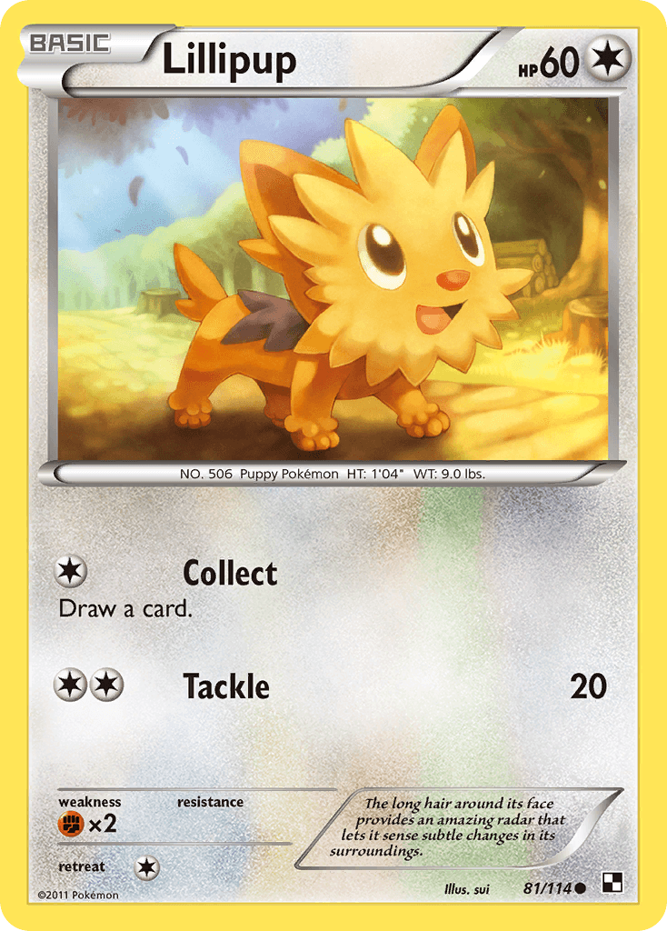 Lillipup Pokémon Karte